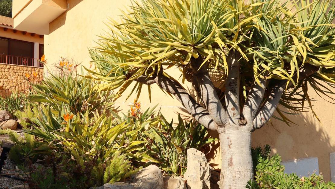 Sale - Villa - Altea - Altea Centro