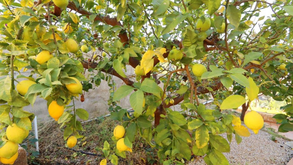 Sale - Villa - Altea - Altea Centro