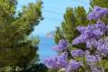 Sale - Villa - Altea - Altea Centro