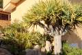 Sale - Villa - Altea - Altea Centro