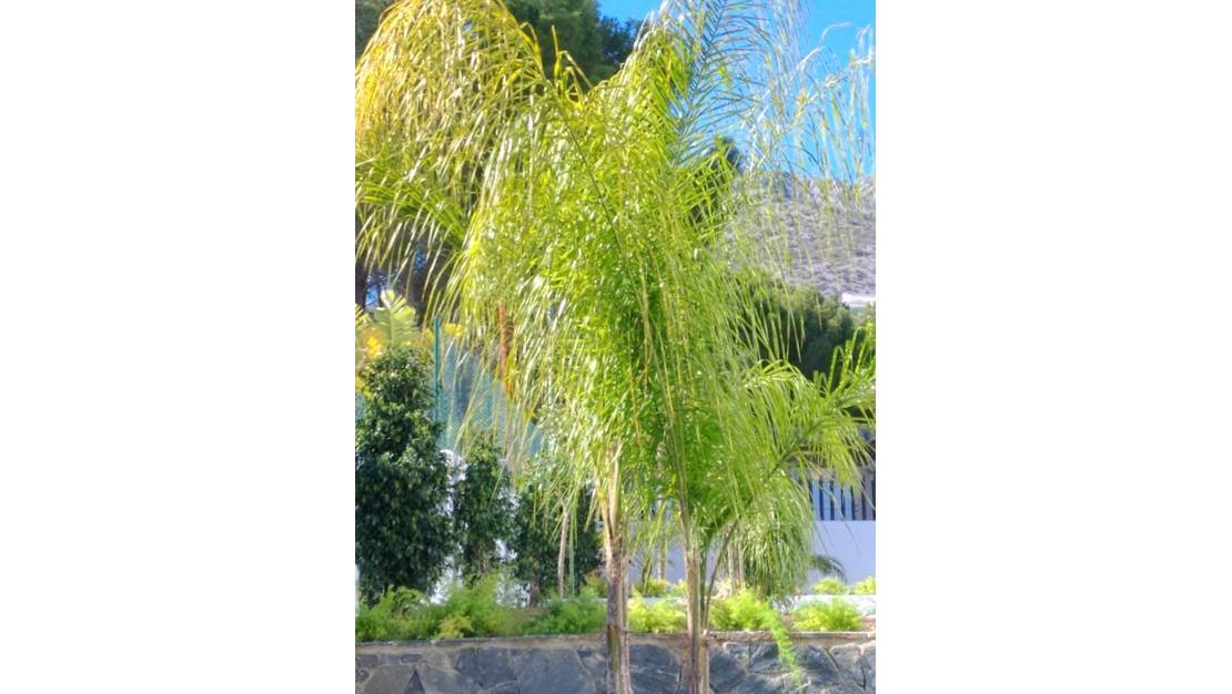 Sale - Villa - Altea - Altea la Vella