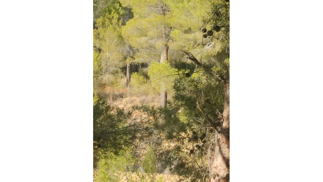 Sale - Villa - Altea