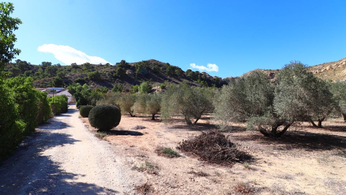 Sale - Villa - Aspe - Aspe Centro