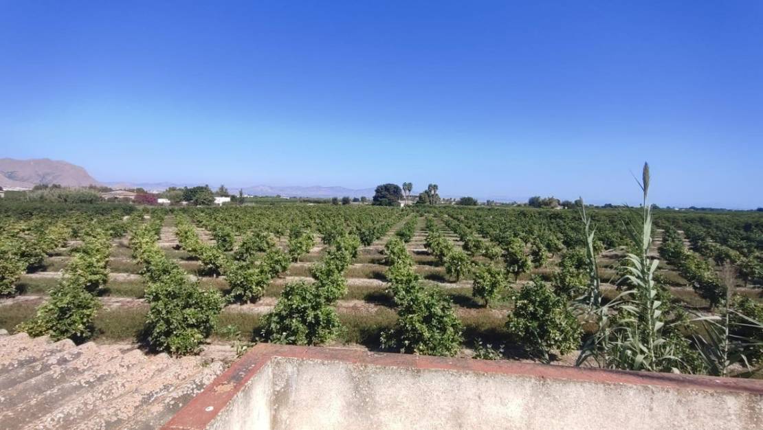 Sale - Villa - Benejúzar - Benejuzar Centro