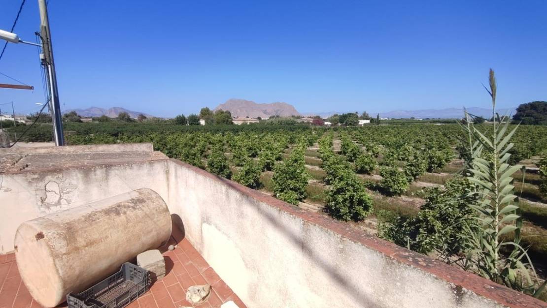 Sale - Villa - Benejúzar - Benejuzar Centro