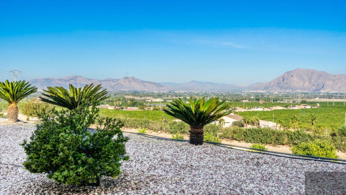 Sale - Villa - Benejúzar - Benejuzar Centro