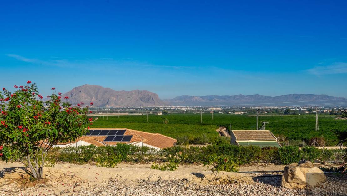 Sale - Villa - Benejúzar - Benejuzar Centro