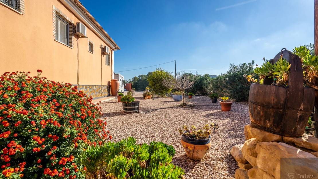 Sale - Villa - Benejúzar - Benejuzar Centro