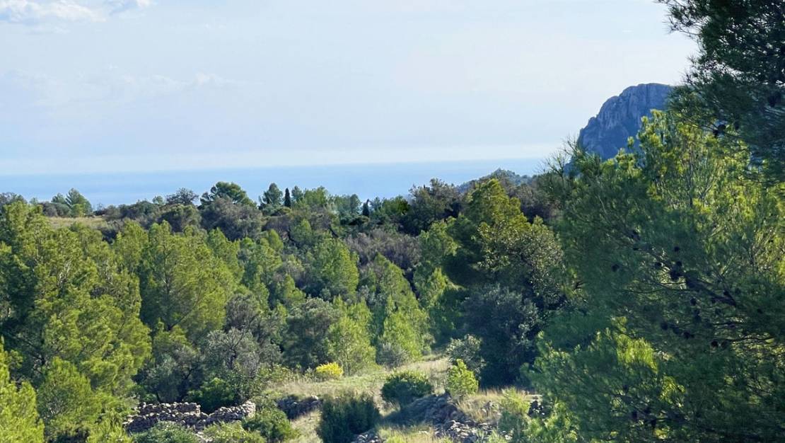 Sale - Villa - Benissa - Benissa Centro