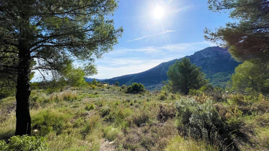 Sale - Villa - Benissa - Benissa Centro