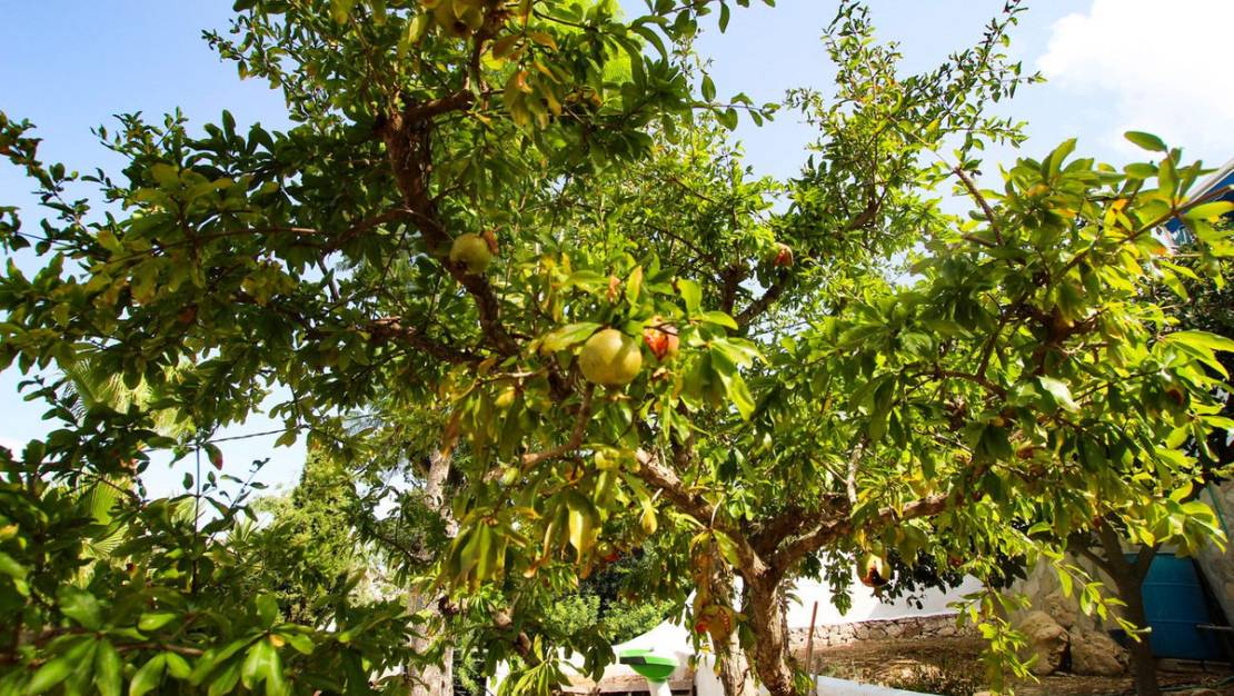 Sale - Villa - Benissa - Benissa Coast