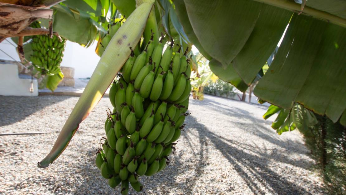 Sale - Villa - Benissa - La Fustera