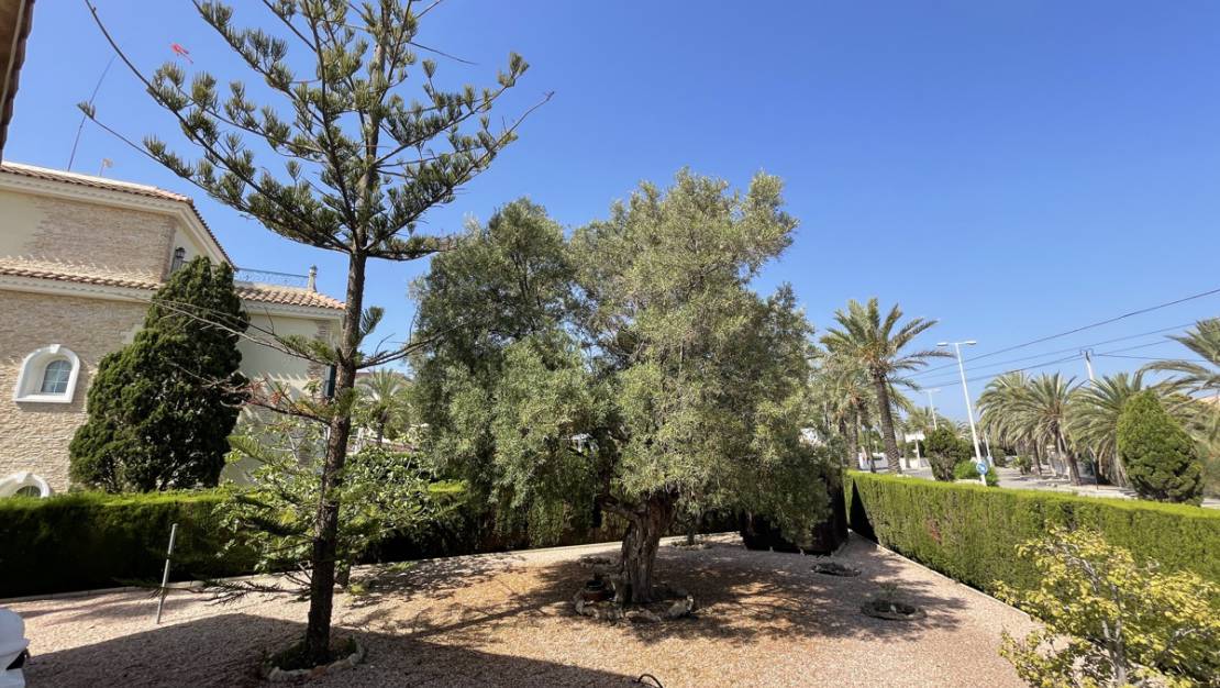 Sale - Villa - Cabo Roig