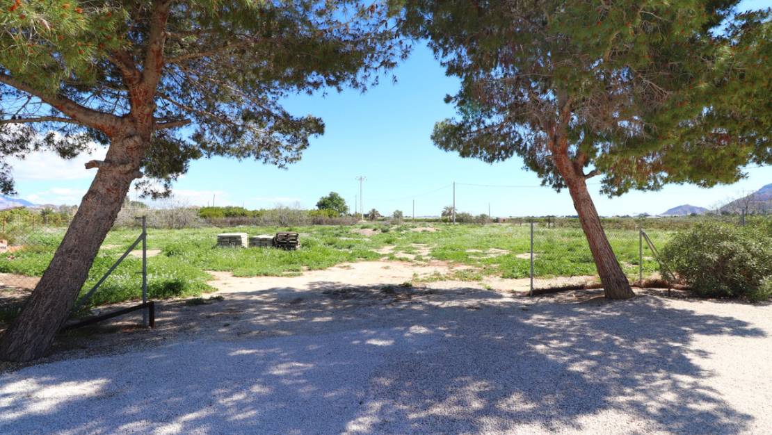 Sale - Villa - Callosa de Segura - Callosa de Segura Centro