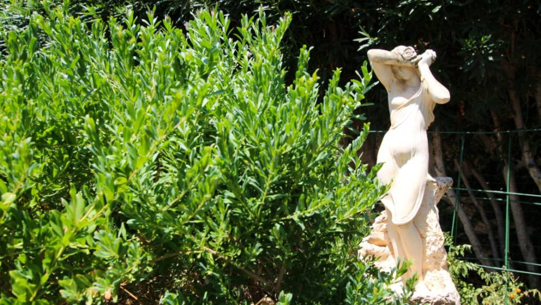 Sale - Villa - Calpe - Calpe Centro