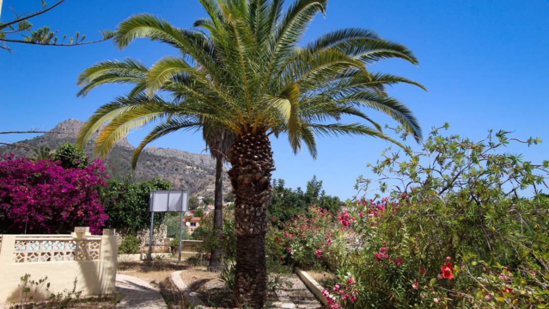 Sale - Villa - Calpe - Calpe Centro