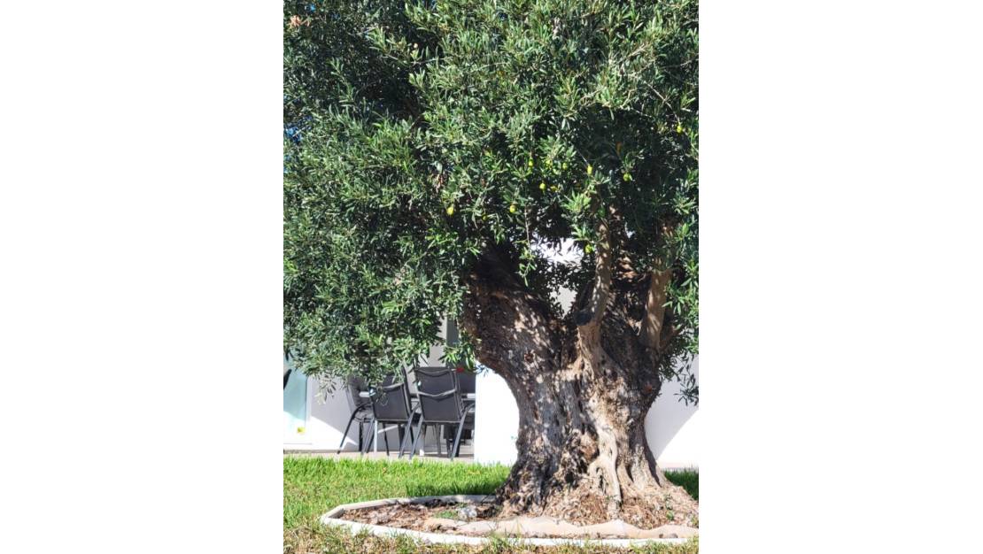 Sale - Villa - Calpe - Calpe Centro