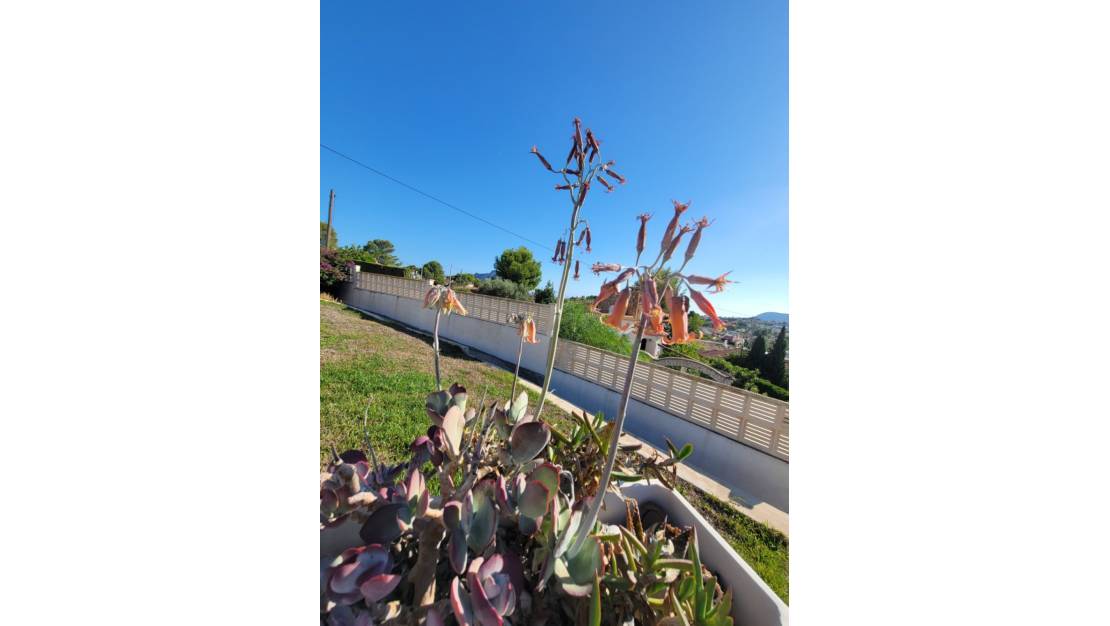 Sale - Villa - Calpe - Calpe Centro