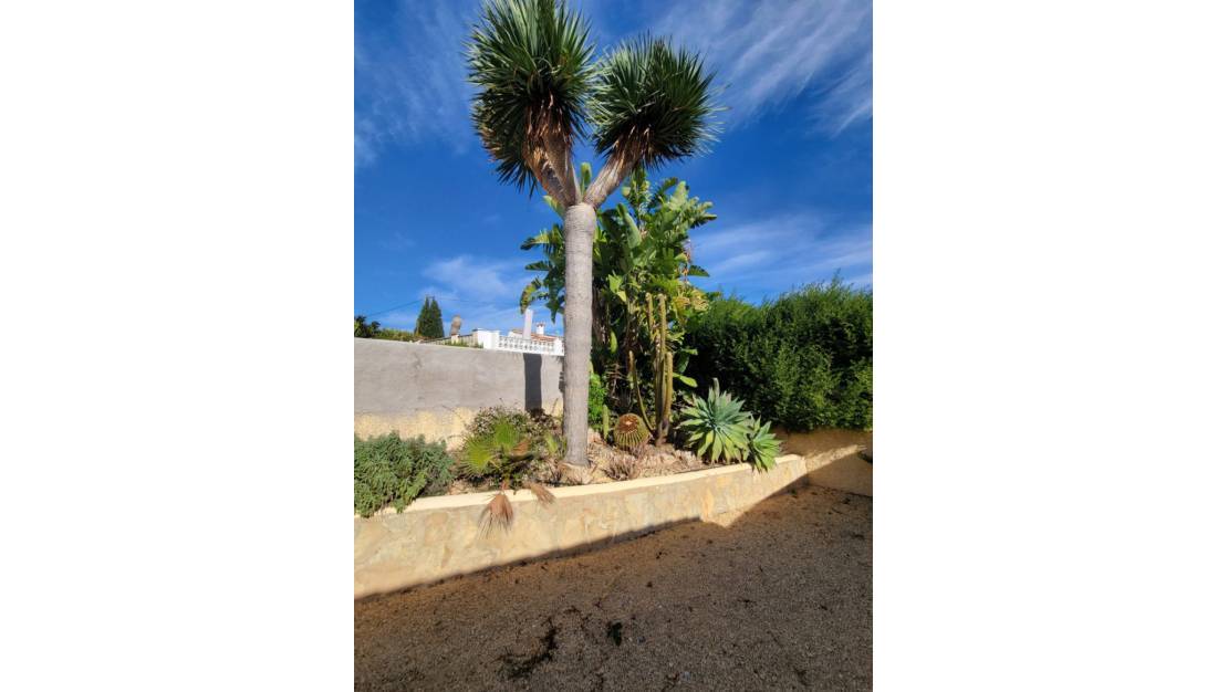 Sale - Villa - Calpe - Calpe Centro