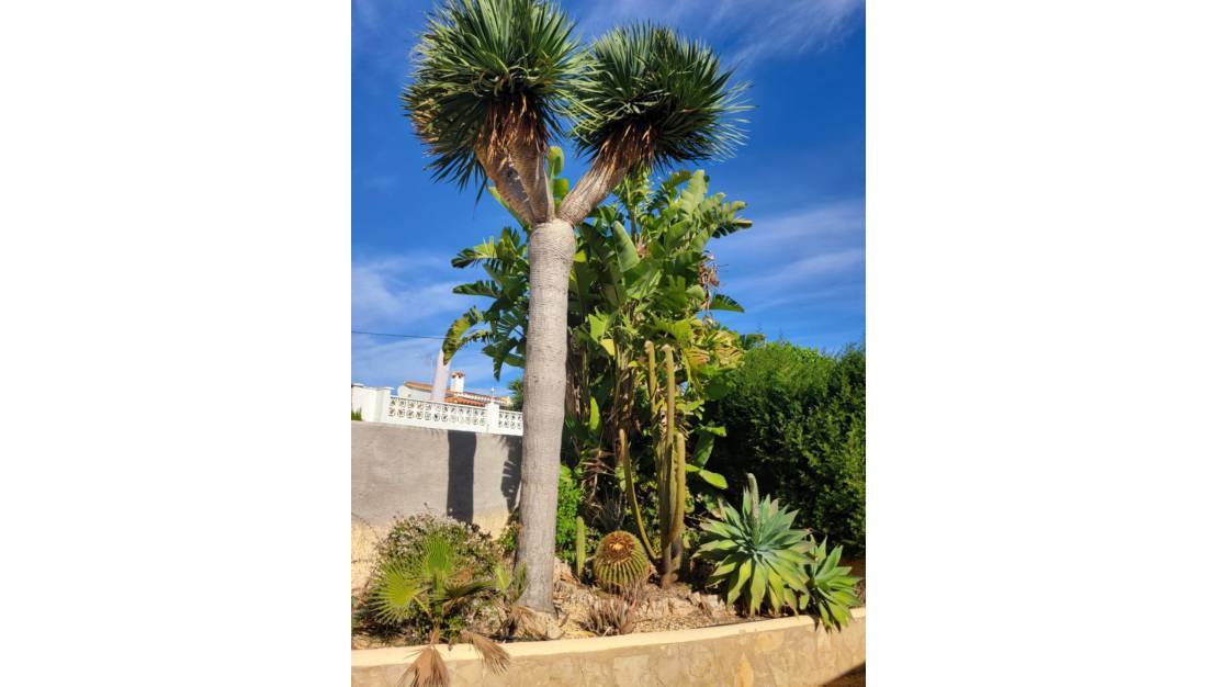 Sale - Villa - Calpe - Calpe Centro