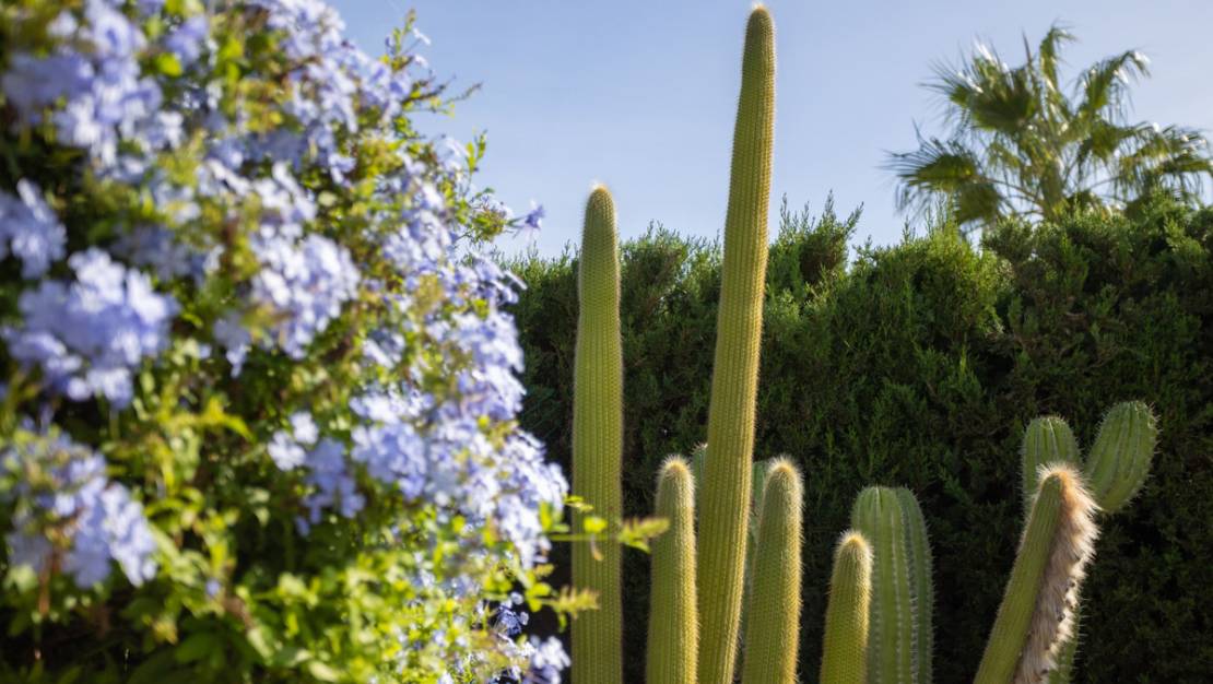 Sale - Villa - Cartagena - Playa Honda