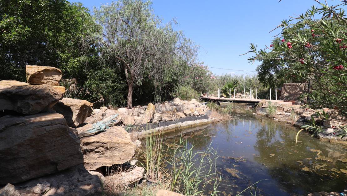 Sale - Villa - Catral - Catral Centro