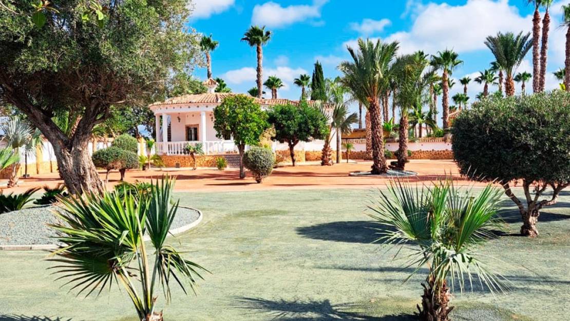 Sale - Villa - Catral - Catral Centro