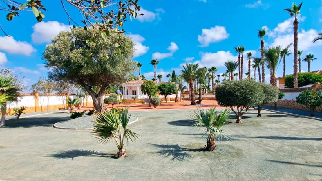 Sale - Villa - Catral - Catral Centro