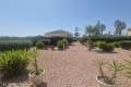 Sale - Villa - Catral - Catral Centro
