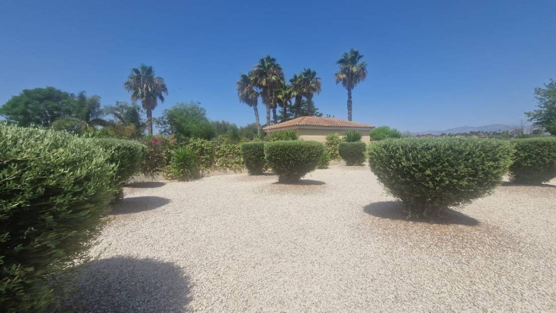 Sale - Villa - Catral - Catral Centro