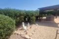 Sale - Villa - Catral - Catral Centro