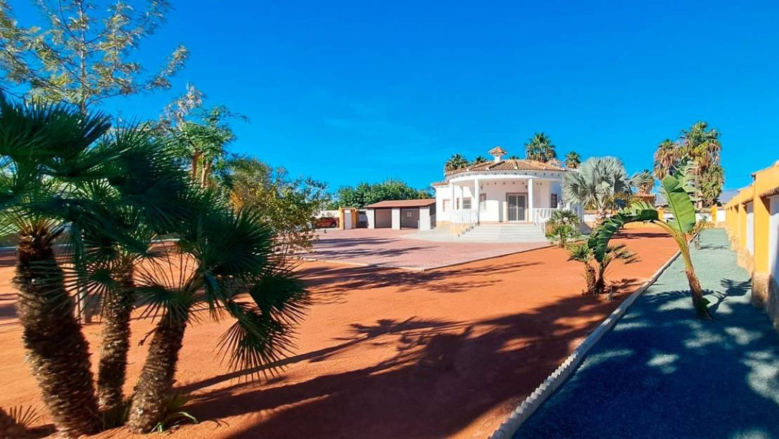 Sale - Villa - Catral - Catral Centro