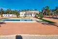 Sale - Villa - Catral - Catral Centro