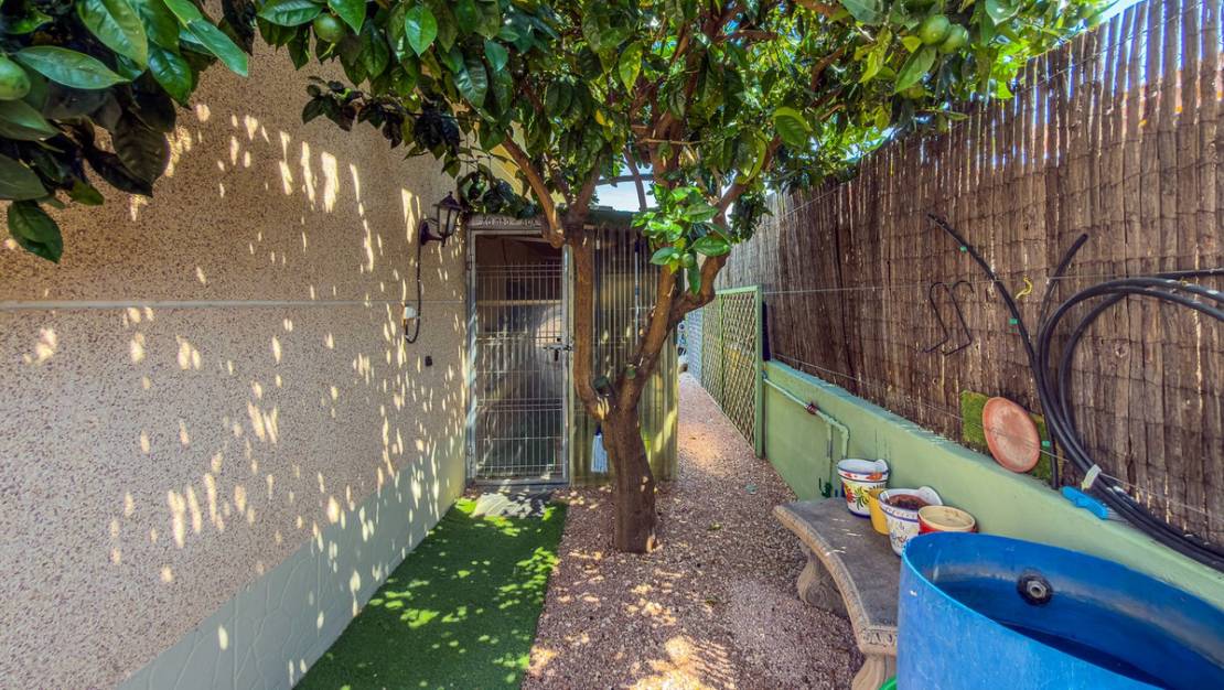Sale - Villa - Catral - Catral Centro