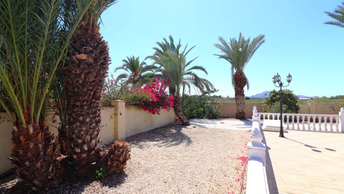 Sale - Villa - Catral - Catral Centro