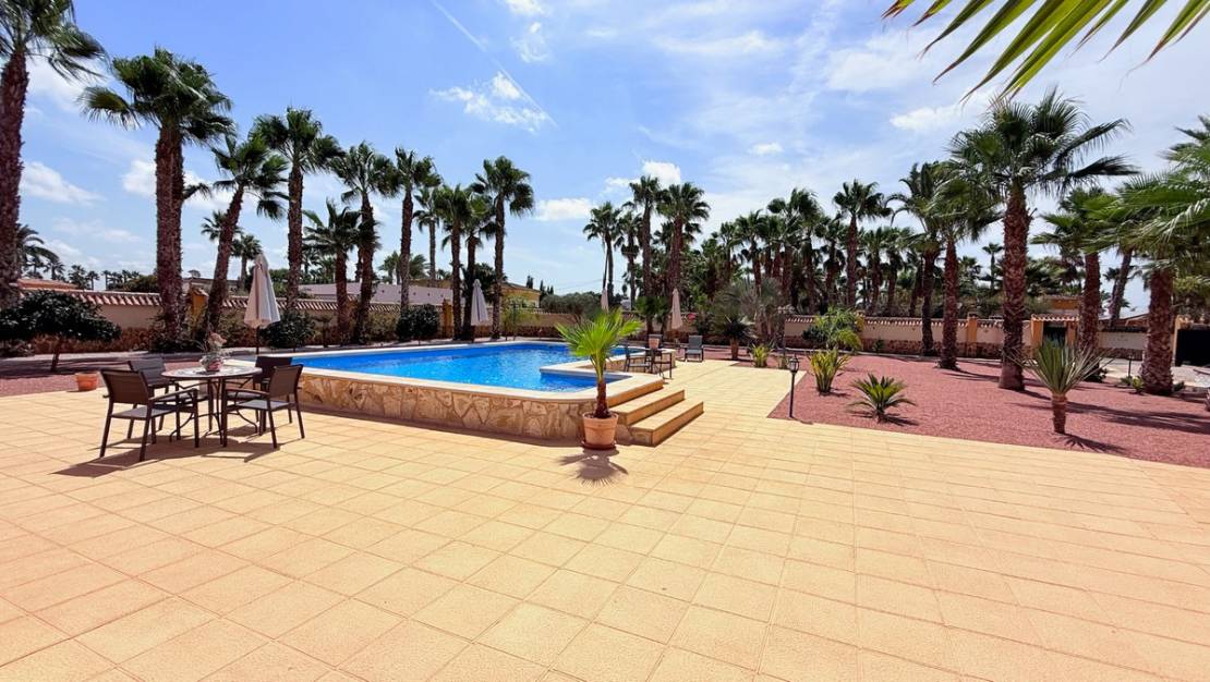 Sale - Villa - Catral - Catral Centro