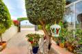 Sale - Villa - Ciudad Quesada - Lo crispín