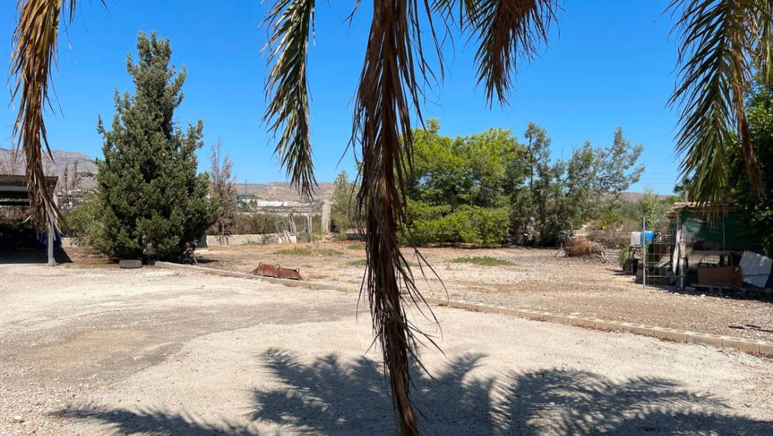 Sale - Villa - Crevillente - Crevillent - Crevillente - Crevillent Centro