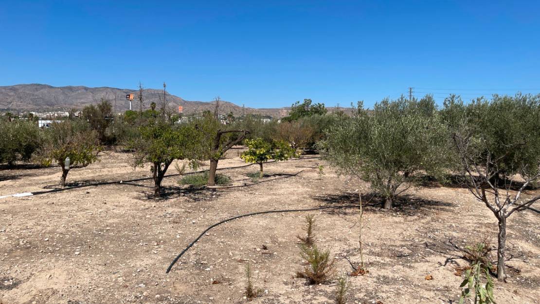 Sale - Villa - Crevillente - Crevillent - Crevillente - Crevillent Centro