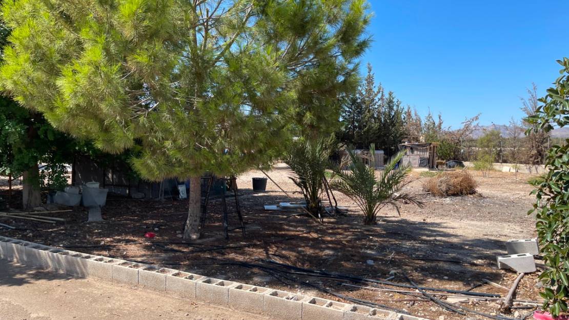 Sale - Villa - Crevillente - Crevillent - Crevillente - Crevillent Centro