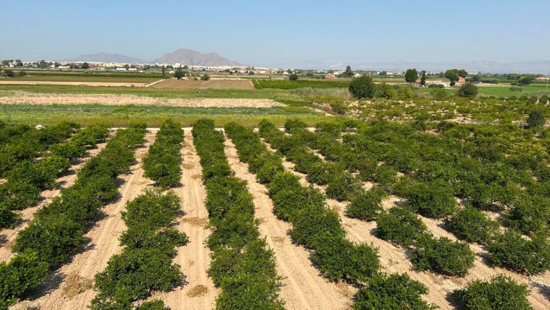 Sale - Villa - Daya Nueva - Daya Nueva Centro