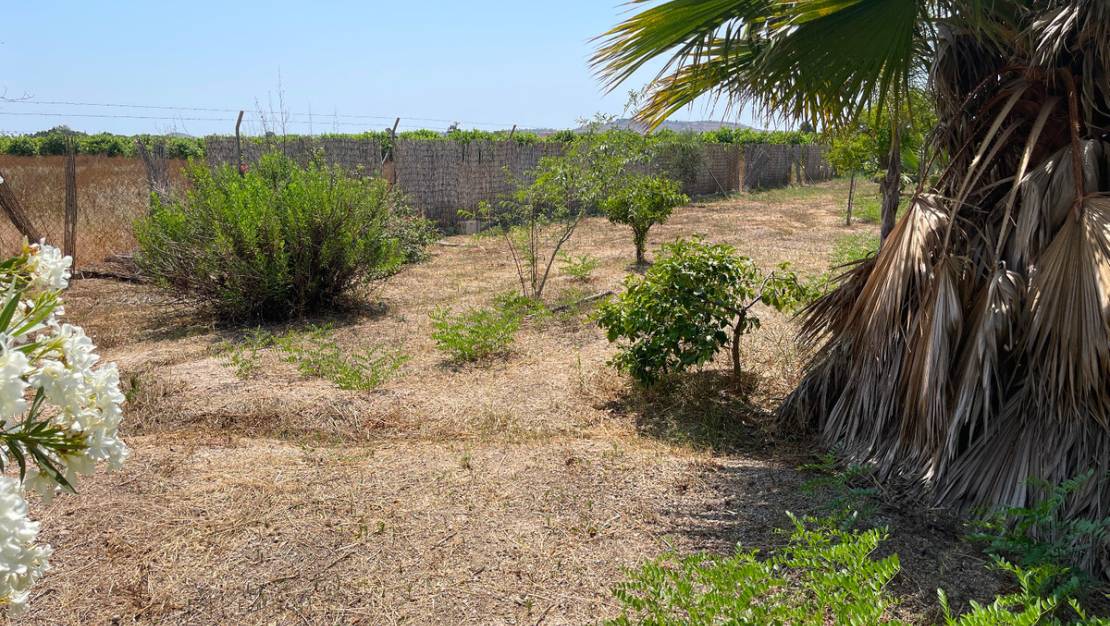 Sale - Villa - Daya Nueva - Daya Nueva Centro