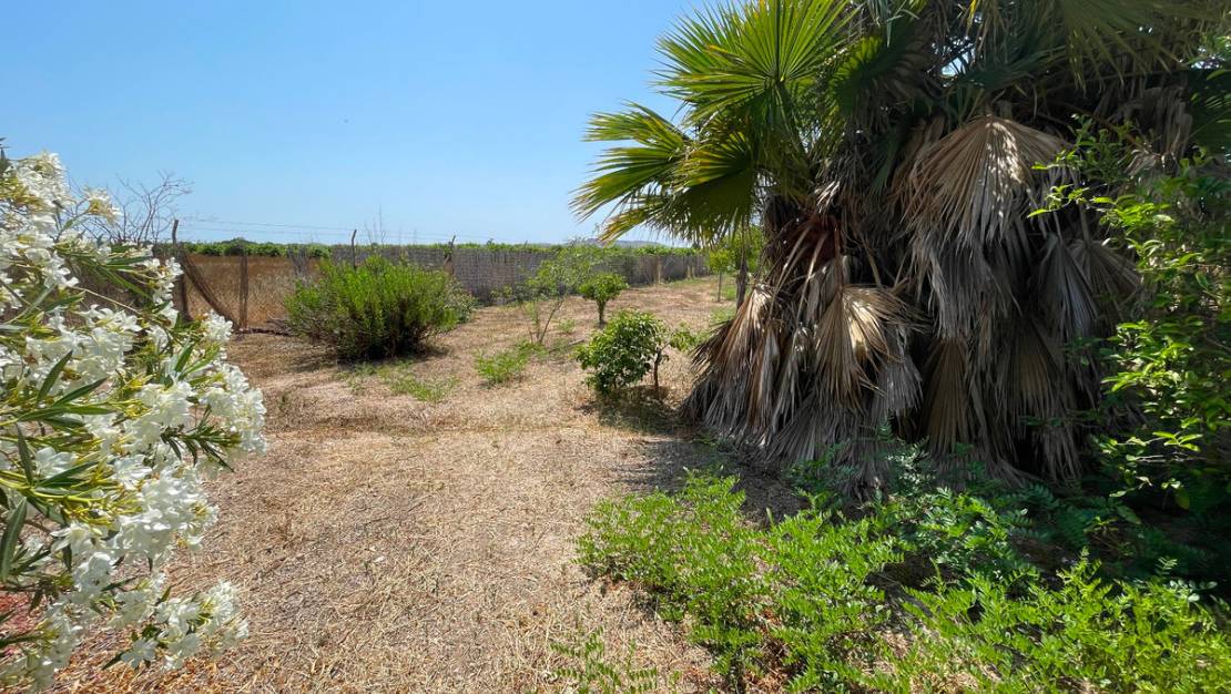 Sale - Villa - Daya Nueva - Daya Nueva Centro