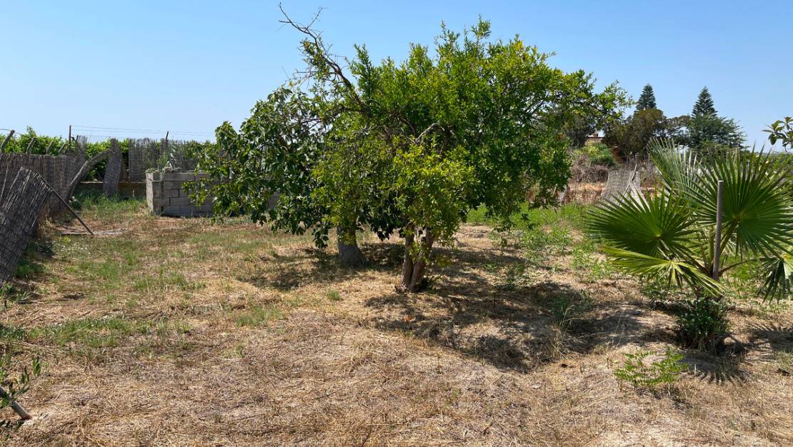 Sale - Villa - Daya Nueva - Daya Nueva Centro