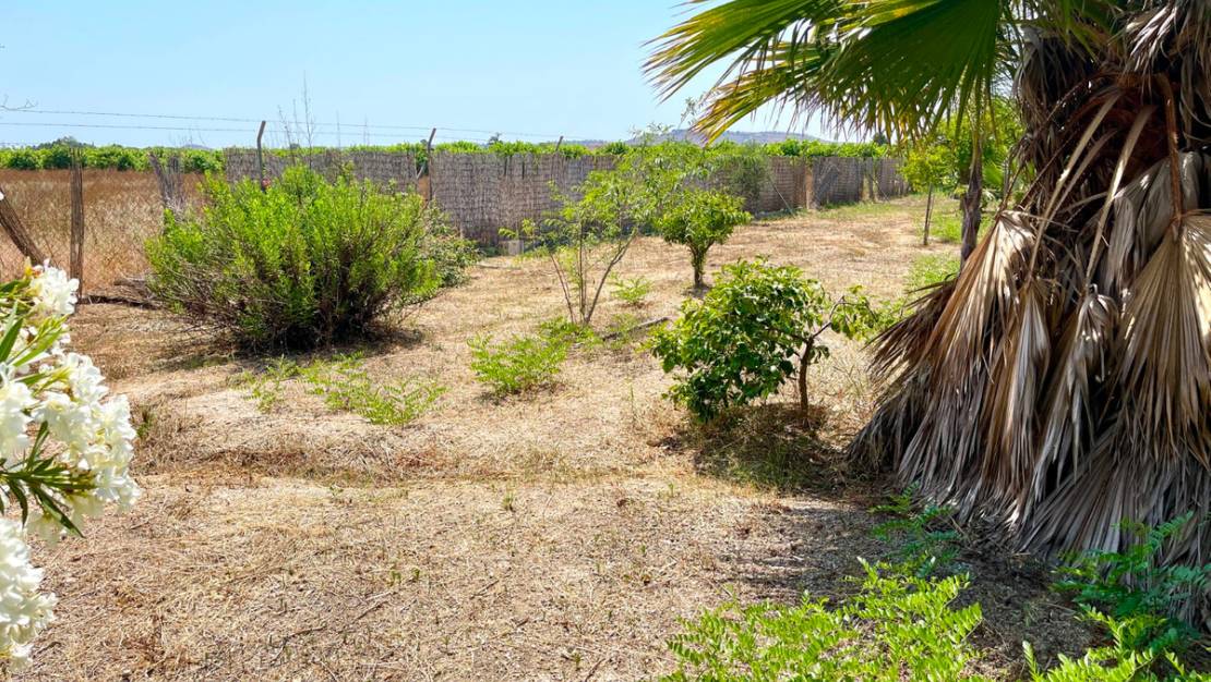 Sale - Villa - Daya Nueva - Daya Nueva Centro