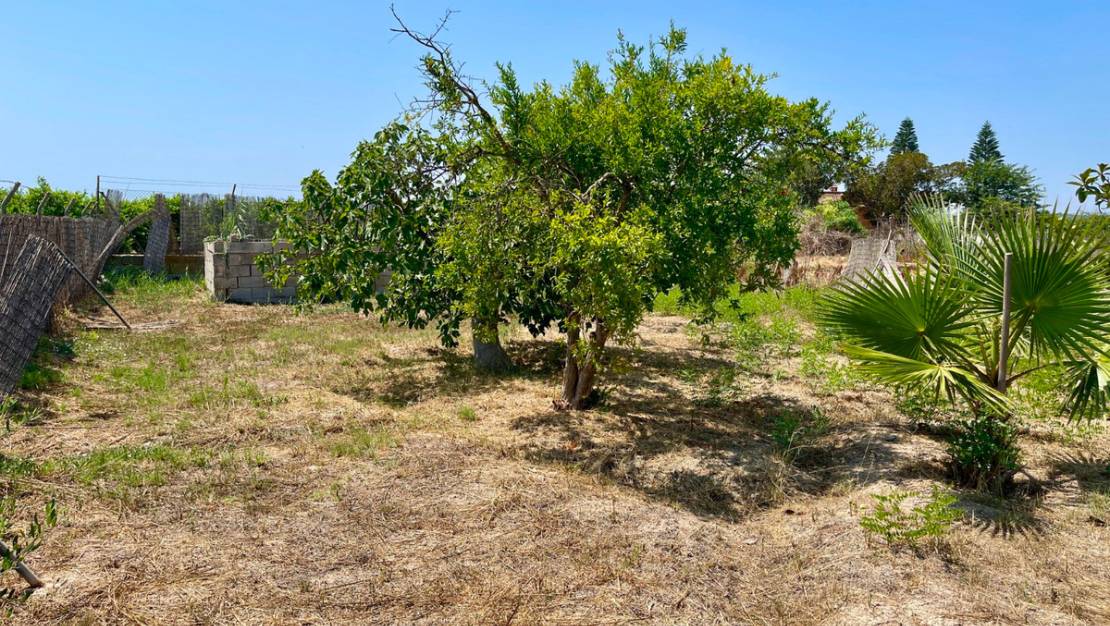 Sale - Villa - Daya Nueva - Daya Nueva Centro