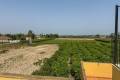 Sale - Villa - Daya Nueva - Daya Nueva Centro
