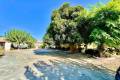 Sale - Villa - Daya Vieja