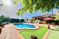 Sale - Villa - Daya Vieja