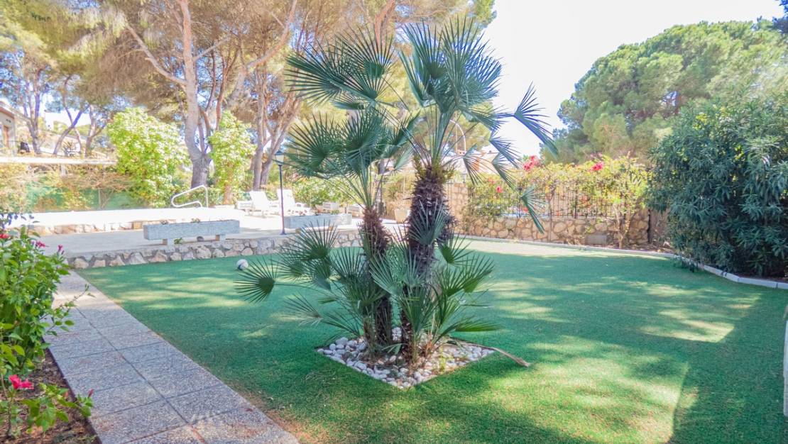 Sale - Villa - Dehesa de Campoamor
